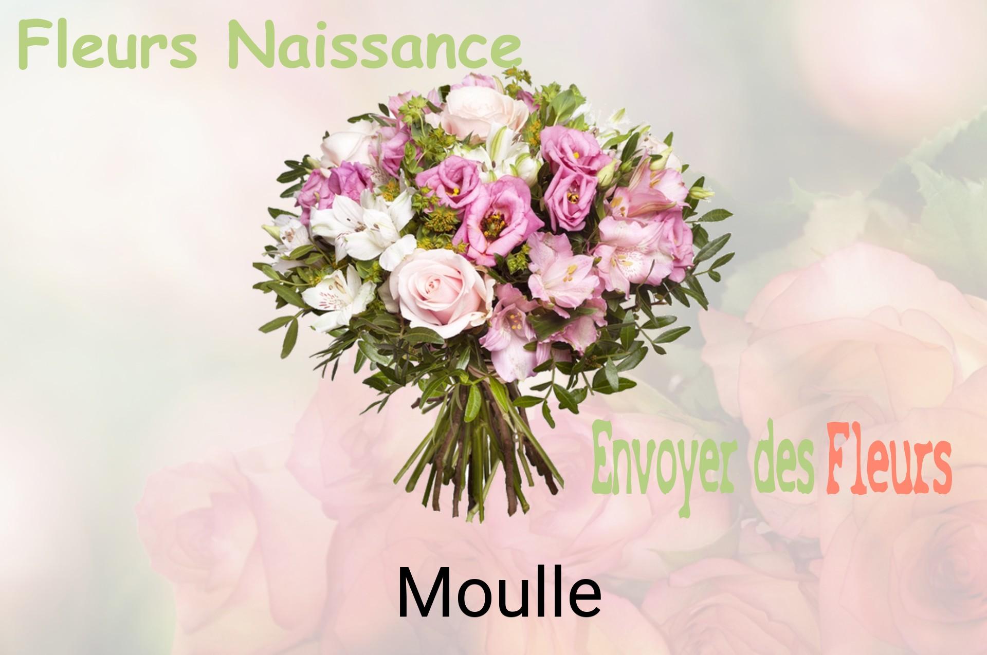 Bouquet de fleurs de naissance livré à Moulle